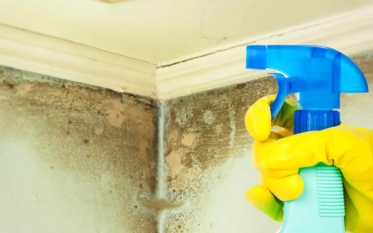 perché un tetto ventilato riduce la muffa in casa